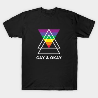 GAY AND OKAY T-Shirt